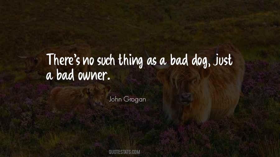Bad Dog Quotes #361627
