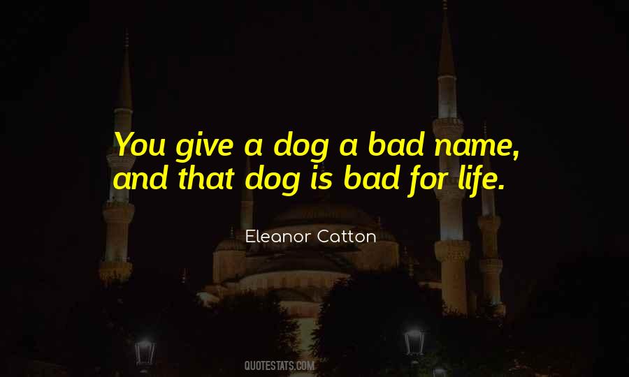 Bad Dog Quotes #59620