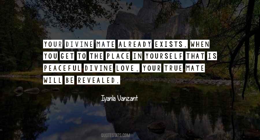 Divine Will Quotes #344865