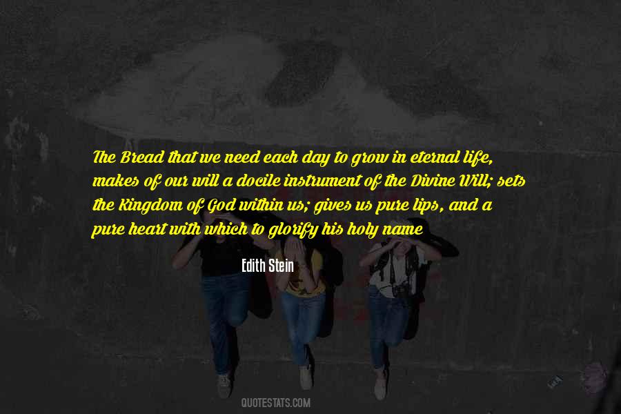 Divine Will Quotes #582392