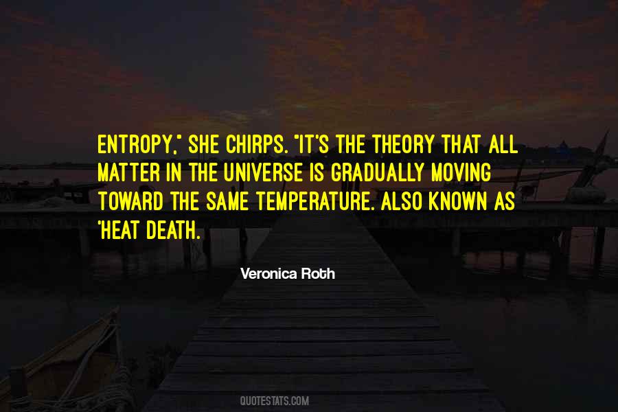 Entropy Universe Quotes #1732394