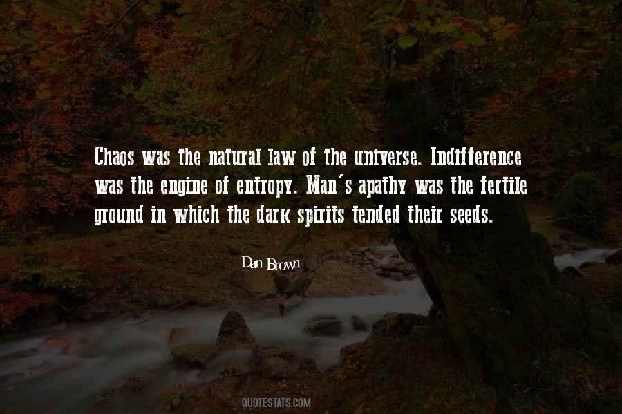 Entropy Universe Quotes #751095