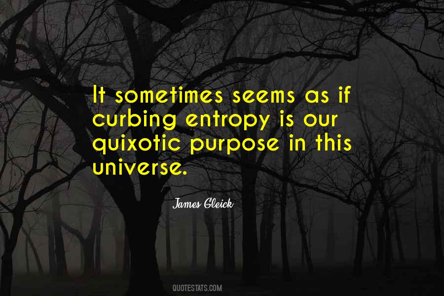 Entropy Universe Quotes #82144