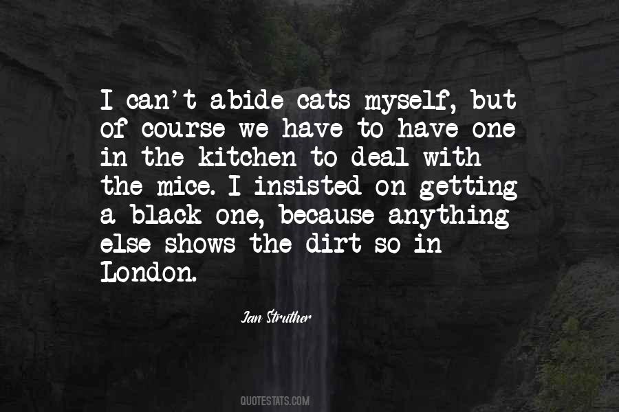 Quotes About Black Cats #1033955