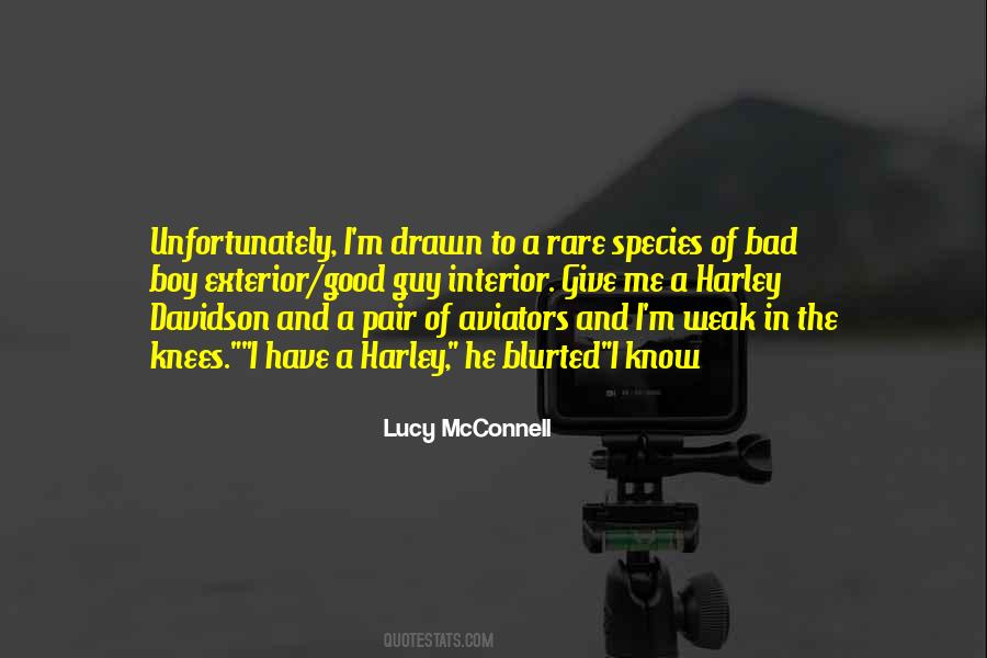 Quotes About Love Of Sports #793553