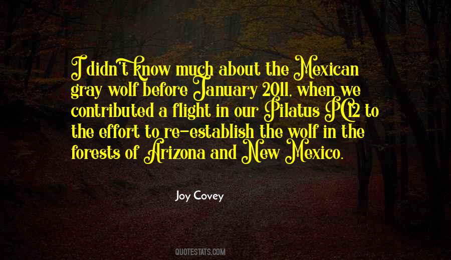 Quotes About New Mexico #9266