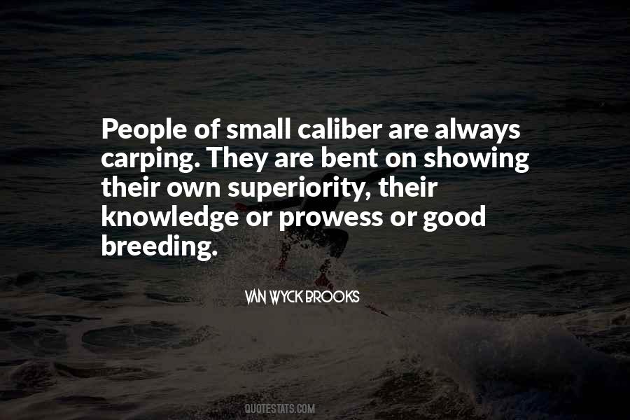 Quotes About Superiority #1394802