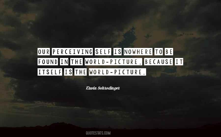 Quotes About Perceiving The World #1591835