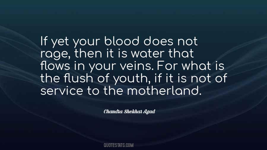 Blood Youth Quotes #1688683