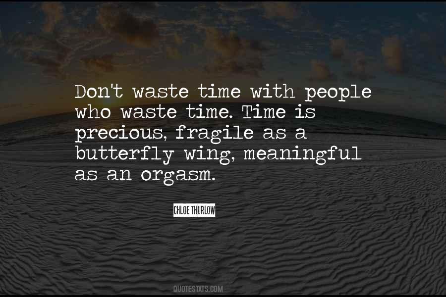 Quotes About Don't Waste Time #164164