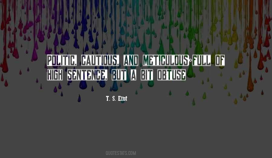 Quotes About Meticulous #1012376