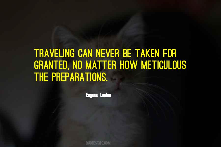 Quotes About Meticulous #1740479