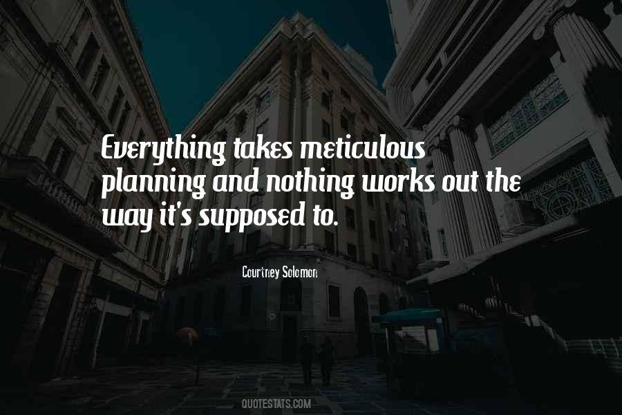 Quotes About Meticulous #528968