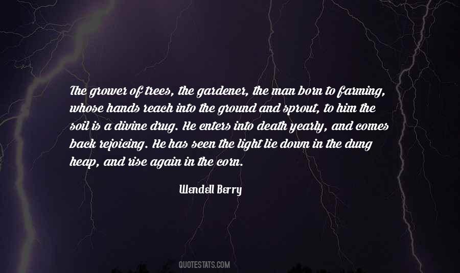 Death Of Trees Quotes #105258