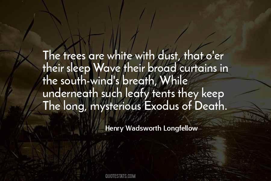 Death Of Trees Quotes #1768114