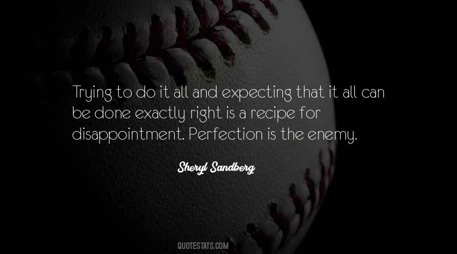 Quotes About Not Expecting Perfection #1763963