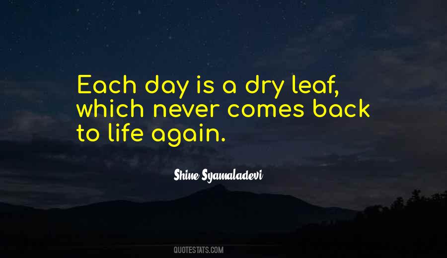 Day Shine Quotes #1155820