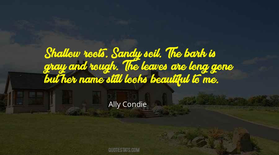 Long Gone Quotes #1350257