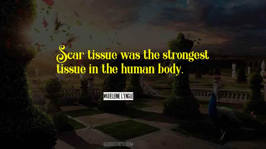 Quotes About Scar Tissue #1047806