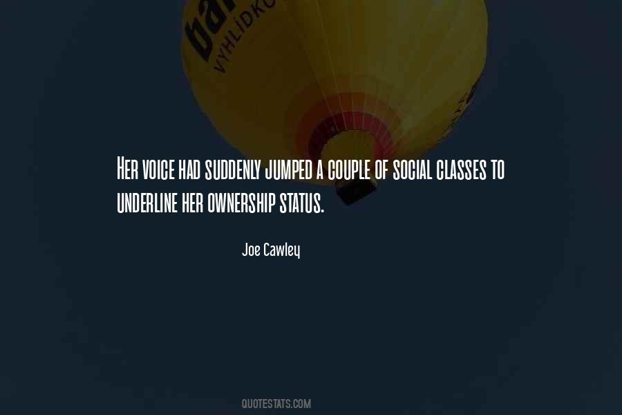 Quotes About Social Status #440933
