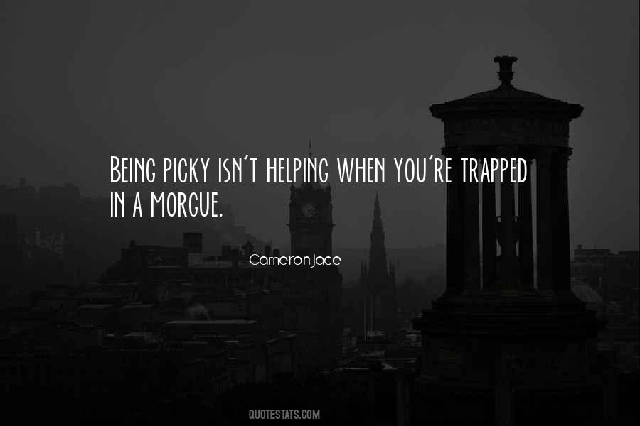 Quotes About Being Too Picky #693106