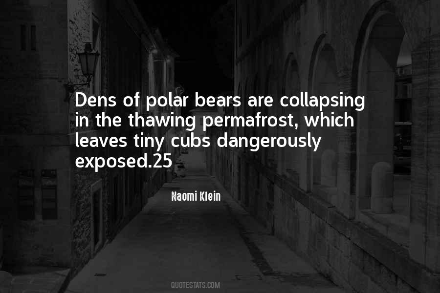 Quotes About Cubs #518312