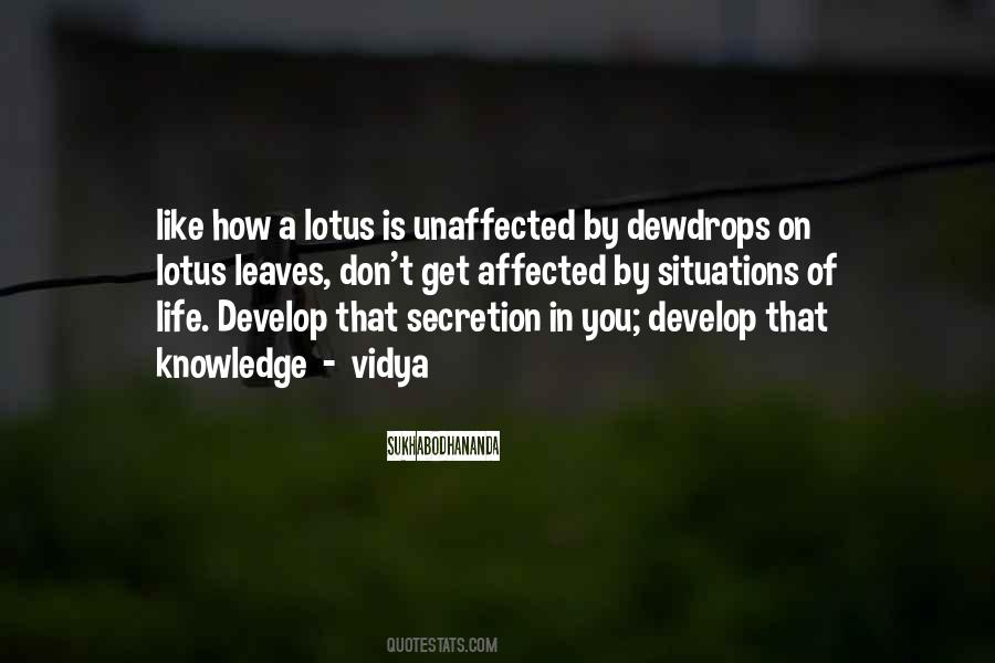 Quotes About A Lotus #1585911