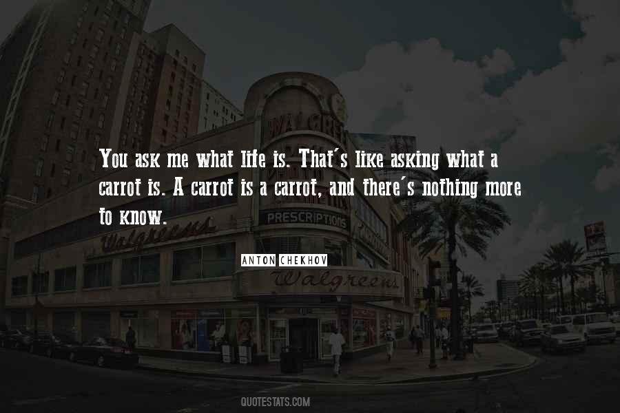 Quotes About There Is More To Life #97486