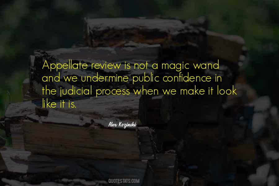 Quotes About Judicial Review #1661858