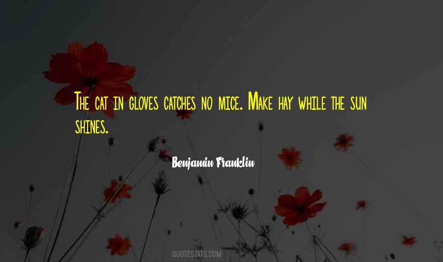 Quotes About Gloves #1281254