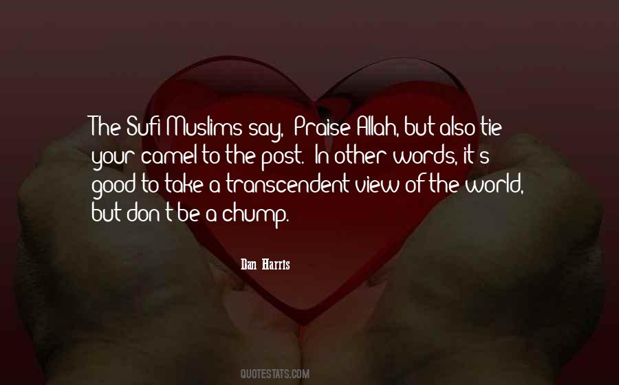 Sufi Way Quotes #235953