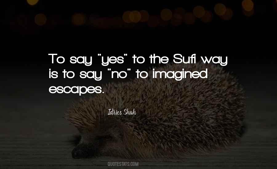 Sufi Way Quotes #428083