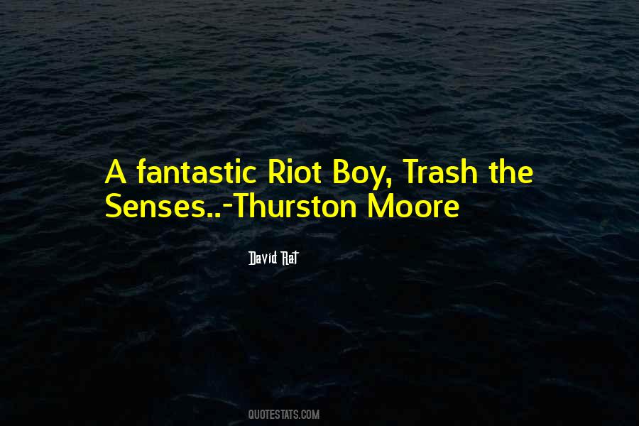Quotes About Sonic Youth #1085742