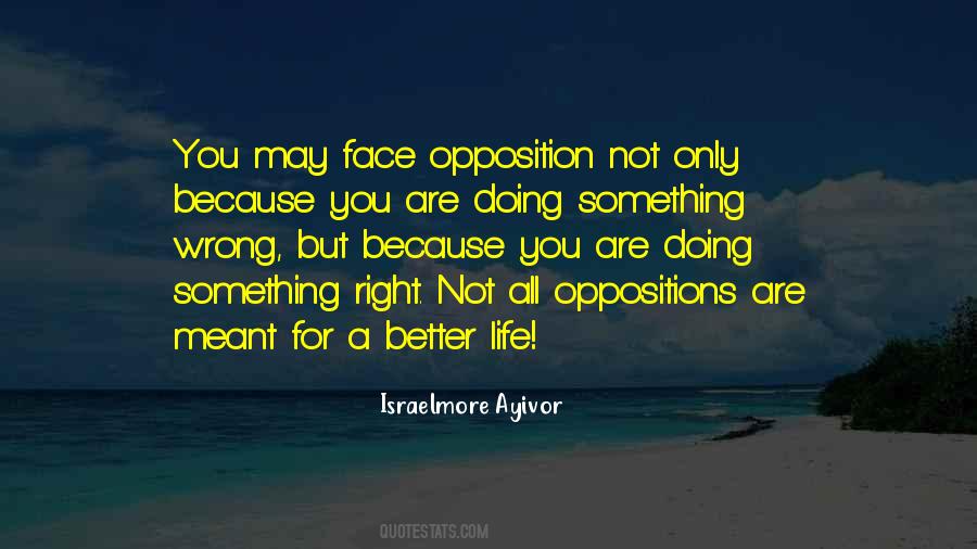 Quotes About Doing Something Better #1466023
