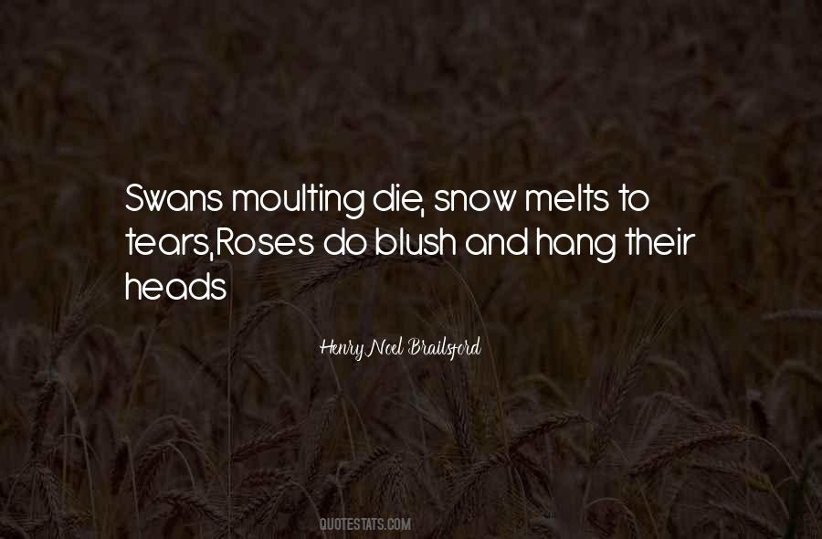 Beauty Death Quotes #605347