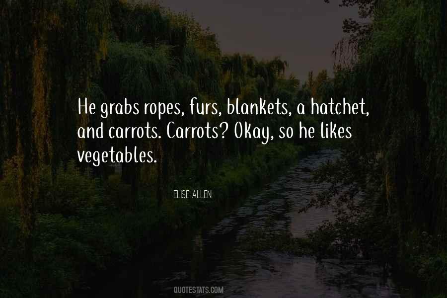Quotes About Blankets #190335