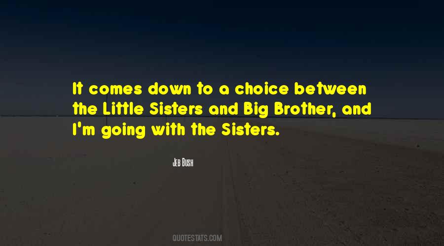 Quotes About A Little Sister #1132209