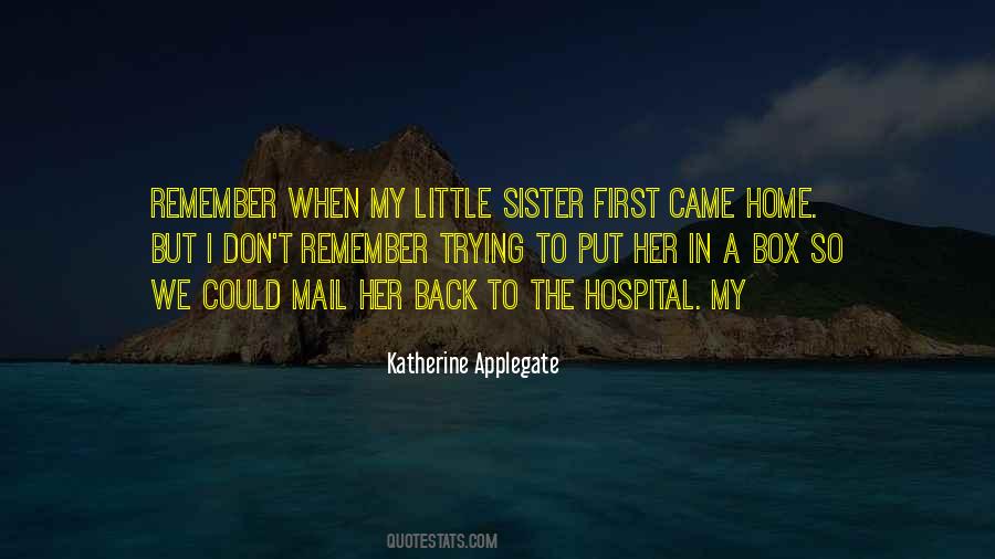 Quotes About A Little Sister #518851
