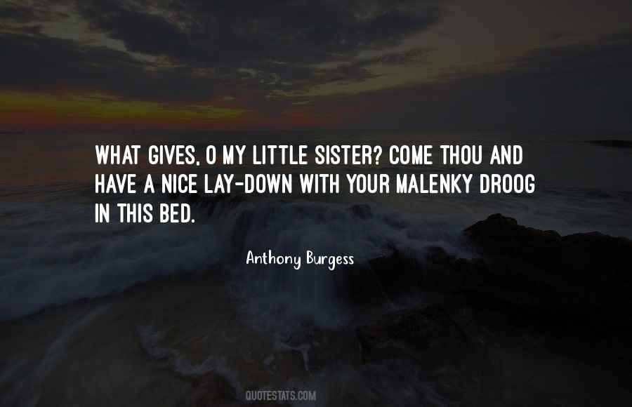 Quotes About A Little Sister #856712