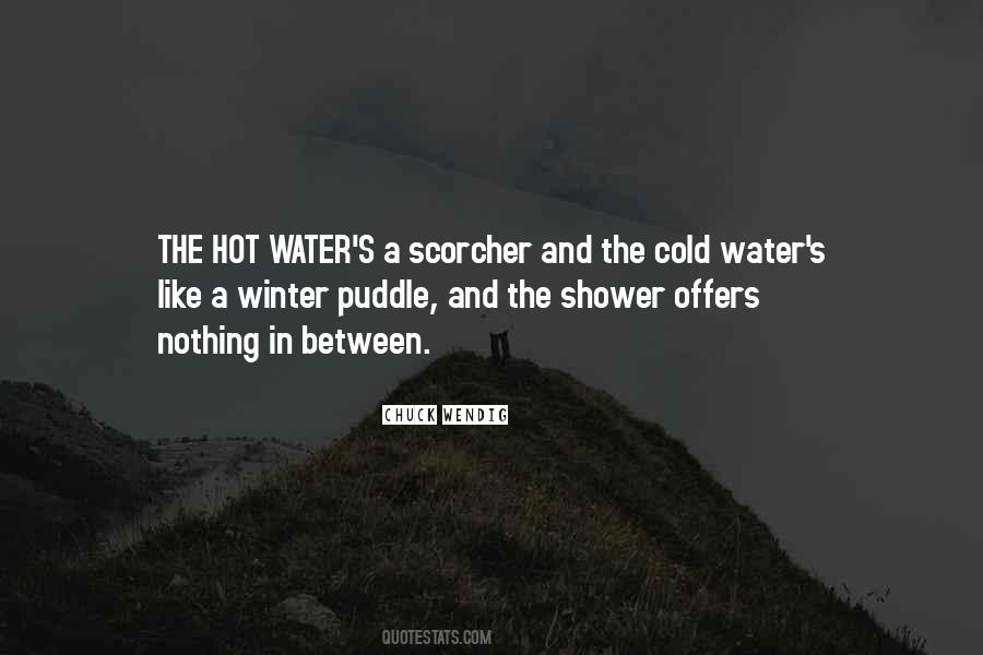 Quotes About Cold And Winter #221526