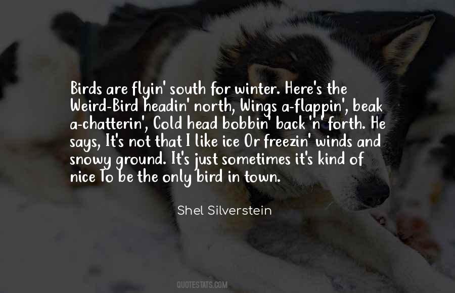Quotes About Cold And Winter #41116