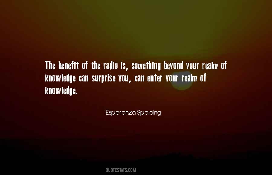 Something Beyond Quotes #1418036