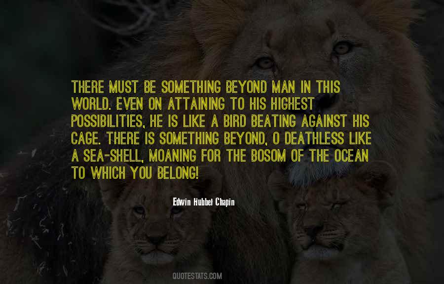 Something Beyond Quotes #286689