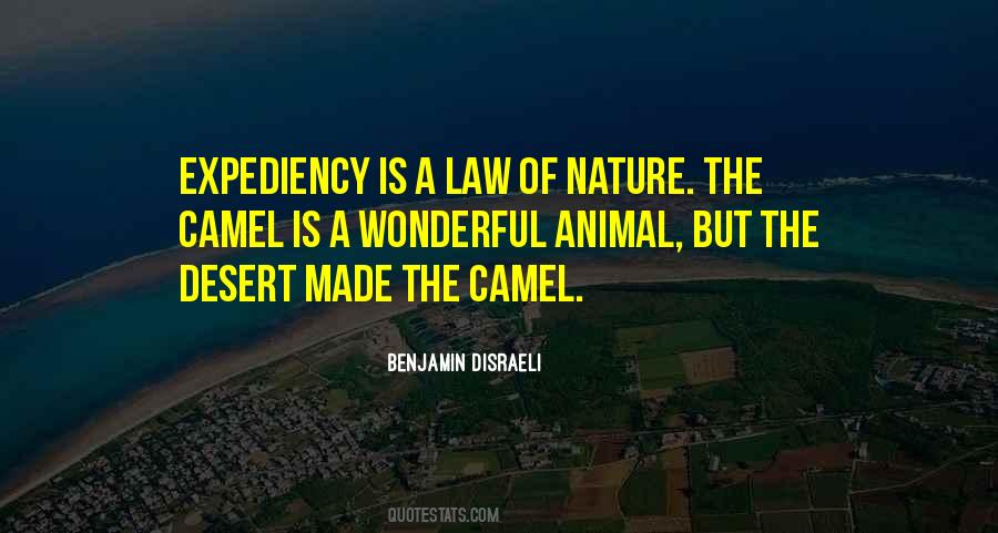 Quotes About Wonderful Nature #1001710