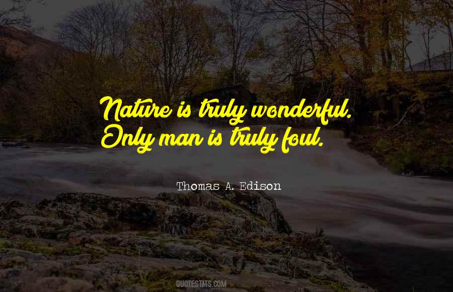 Quotes About Wonderful Nature #122894