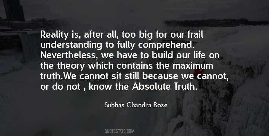 Theory Vs Reality Quotes #168909