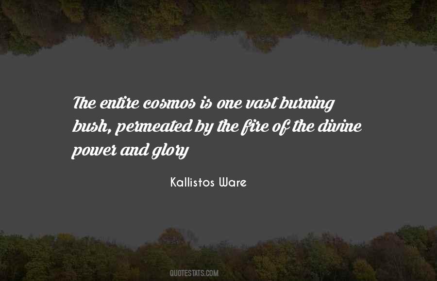 Quotes About Cosmos #1177542