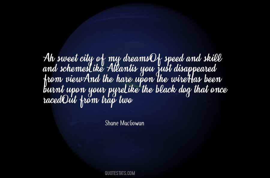 City Of Dreams Quotes #1457842