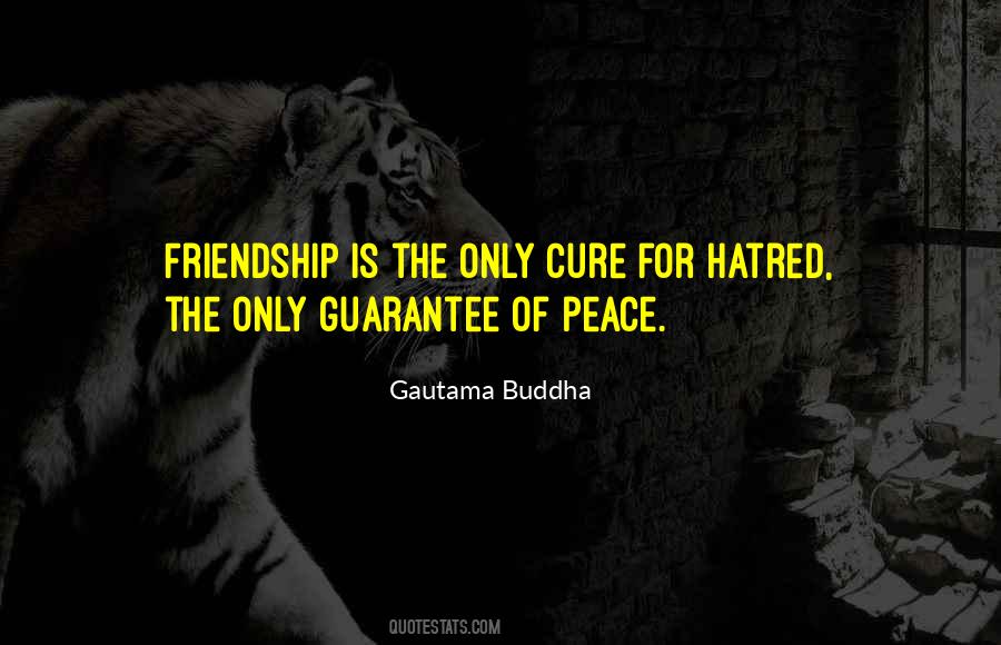 Quotes About Hatred Friendship #1032230