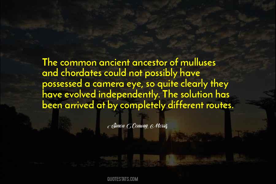 Quotes About Camera #1431